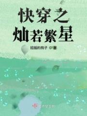 灿若繁星全集免费播放