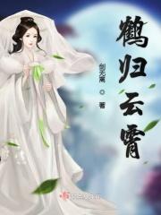 鹤归一是什么意思