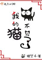 猫不见了怎么办