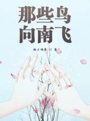 那些鸟向南飞英语