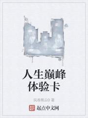 巅峰人生攻略