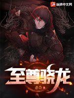 至尊骁龙8领先版