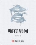 只随星河在天