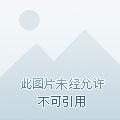 杠上不良太后全文阅读