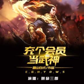 充个会员当武神境界介绍