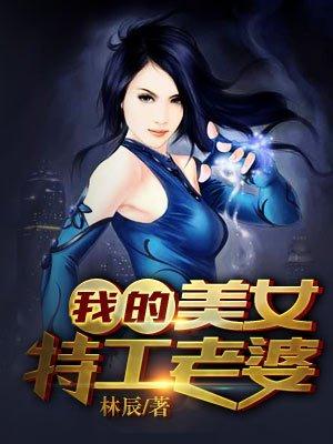 我的美女特工老婆TXT奇书网