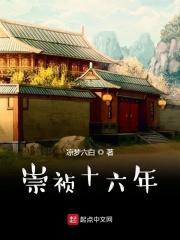 崇祯十六年明清之间螺山战役
