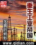 重生工业帝国小黑醉酒