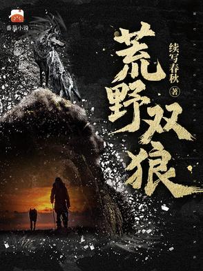 荒野双狼有几部