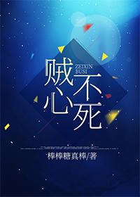 贼心不死的高级替换词