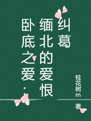 连续剧卧底