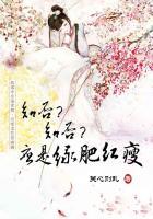 知否知否应是绿肥红瘦古诗