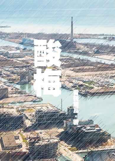 酸梅的功效与作用