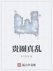 贵圈是什么意思真乱