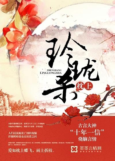 玲珑枕上杀讲什么