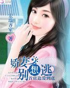 *首席追妻娇宠一加一免费阅读
