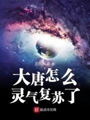大唐用什么灵饰套装