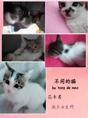 不同的猫可以杂交吗