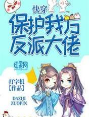 保护我方反派大佬晋江