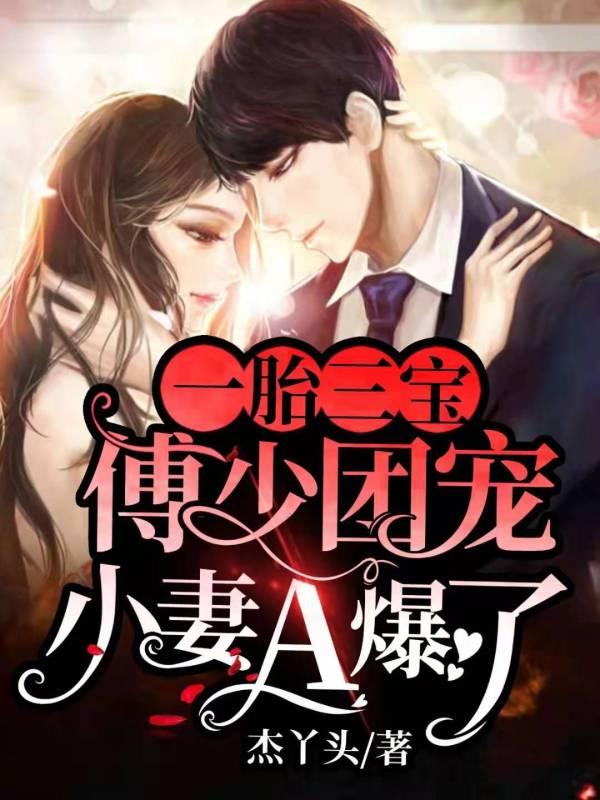 一胎双宝傅少宠超给力